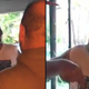 Image for article titled ‘It’s My Fucking Country’: Chad the Cookout Killer Goes on Racist Rant When Neighbors Play Spanish Music on the 4th